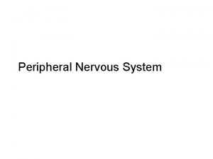 Peripheral Nervous System Lecture Outline Peripheral Nervous System