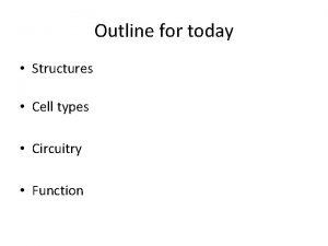 Outline for today Structures Cell types Circuitry Function