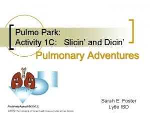 Pulmo Park Activity 1 C Slicin and Dicin