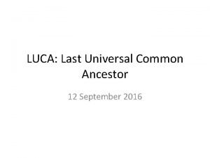 Last universal common ancestor