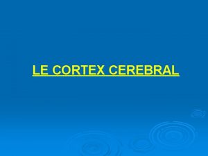 LE CORTEX CEREBRAL LE CORTEX CEREBRAL Introduction Structure