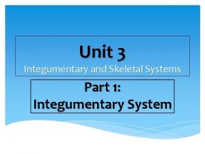 Unit 3 Integumentary and Skeletal Systems Part 1