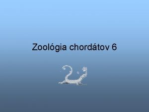 Zoolgia chordtov 6 Classistrieda Reptilia plazy Amniota nemaj