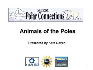 Animals of the Poles Presented by Kate Devlin