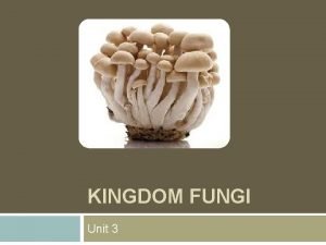 Fungi structure