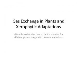 Adaptations of xerophytes