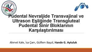 Pudental Nevraljide Transvajinal ve Ultrason Eliinde Transgluteal Pudental