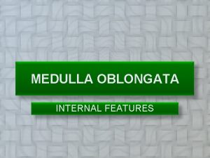 MEDULLA OBLONGATA INTERNAL FEATURES CAUDAL MEDULLA At the