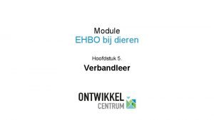 Verbandleer ehbo