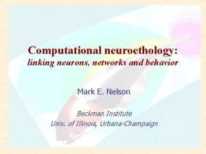 Computational neuroethology