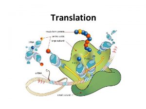 Translation Gene Expression Regulators Transcriptional factors Chromatin structure