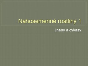 Nahosemenn rostliny 1 jinany a cykasy Nzev koly