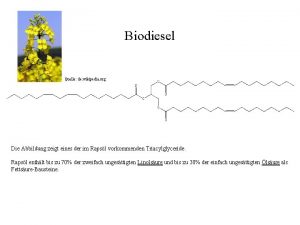 Biodiesel Quelle de wikipedia org Die Abbildung zeigt