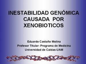 INESTABILIDAD GENMICA CAUSADA POR XENOBIOTICOS Eduardo Castao Molina