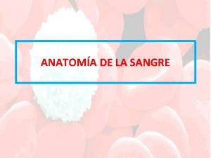 ANATOMA DE LA SANGRE Anatoma de la sangre