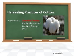Harvesting Practices of Cotton Prepared By Swastika Chauhan