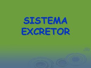 SISTEMA EXCRETOR QU ES LA EXCRECIN La excrecin