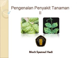 Pengenalan Penyakit Tanaman II Moch Syamsul Hadi NEMATODA