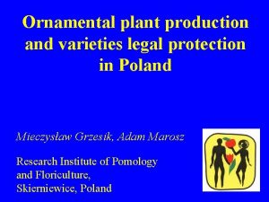 Ornamental plant production and varieties legal protection in