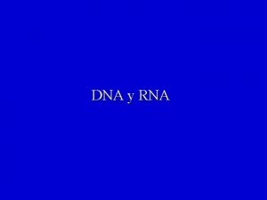 DNA y RNA Composicin en bases del DNA