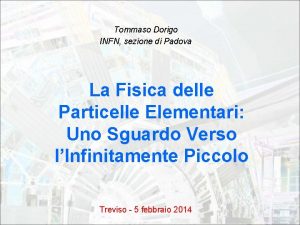 Tommaso Dorigo INFN sezione di Padova La Fisica