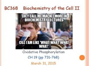 BC 368 Biochemistry of the Cell II Oxidative