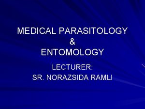 MEDICAL PARASITOLOGY ENTOMOLOGY LECTURER SR NORAZSIDA RAMLI BLOOD