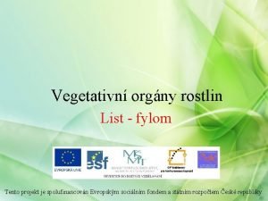 Vegetativn orgny rostlin List fylom Tento projekt je