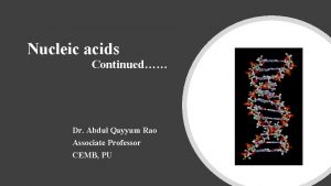 Nucleic acids Continued Dr Abdul Qayyum Rao Associate