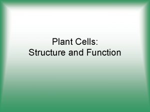 Plant Cells Structure and Function Eukaryotic Plant Cell