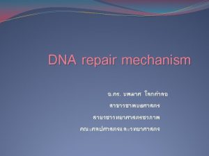 Direct repair Photoreactivation Adaptiveinducible repair Excision of damaged