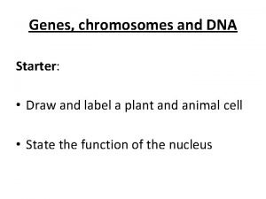 Define chromosome