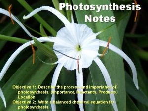 Objective of photosynthesis