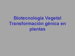 Biotecnologa Vegetal Transformacin gnica en plantas Biotecnologa Vegetal