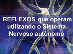 REFLEXOS que operam utilizando o Sistema Nervoso autnomo