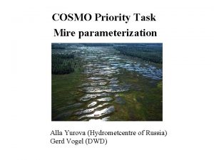 COSMO Priority Task Mire parameterization Alla Yurova Hydrometcentre