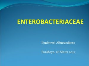 ENTEROBACTERIACEAE Lindawati Alimsardjono Surabaya 26 Maret 2012 Klasifikasi