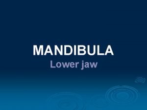 MANDIBULA Lower jaw Anatomy repetition Widespread description and