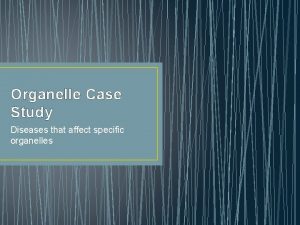 Organelle case study answer key