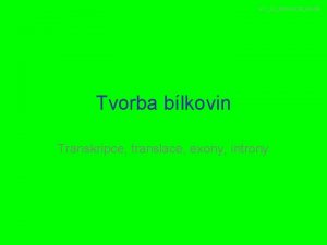 VY32INOVACE04 04 Tvorba blkovin Transkripce translace exony introny