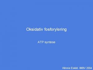 Oksidativ fosforylering ATP syntese Winnie Eskild IMBV 2004