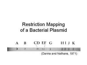 Restriction Mapping of a Bacterial Plasmid Danna and