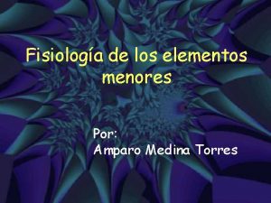 Fisiologa de los elementos menores Por Amparo Medina