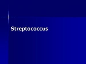 Streptococcus n Streptococcaceae ailesinde Streptococcus Enterococcus n n