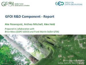 GFOI RD Component Report Ake Rosenqvist Anthea Mitchell