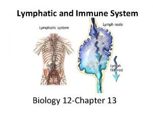 Chapter 13 lymphatic system and immunity