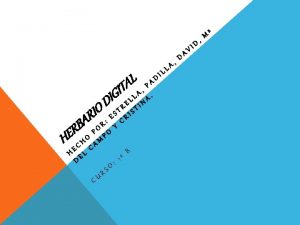 Hoja peciolada Hoja peciolada