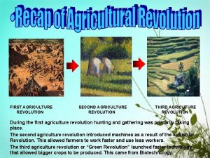 First agricultural revolution