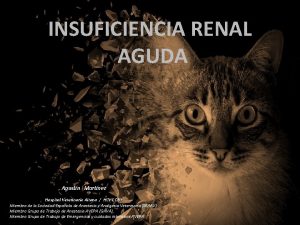 INSUFICIENCIA RENAL AGUDA Agustn Martnez Hospital Veterinario Aitana