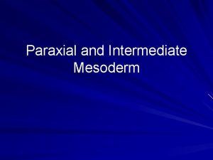 Paraxial and Intermediate Mesoderm Mesodermal Regions Into what